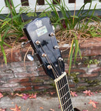 Recording King Professional Wood Body Resonator