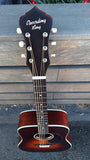 Recording King Series 11 Dreadnought with Fishman RDS-11-FE3-TBR