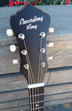 Recording King Series 11 Dreadnought with Fishman RDS-11-FE3-TBR