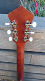 Recording King Series 11 Dreadnought with Fishman RDS-11-FE3-TBR