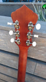 Recording King Series 11 Dreadnought with Fishman RDS-11-FE3-TBR