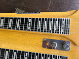 Rickenbacker Lap Steel DW-12