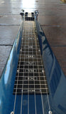 Rogue Lap Steel