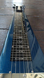 Rogue Lap Steel