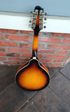 Savannah Mandolin