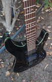 Schecter Black Diamond Series Hellraiser