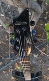 Schecter Black Diamond Series Hellraiser