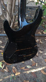 Schecter Black Diamond Series Hellraiser