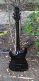 Schecter Black Diamond Series Hellraiser