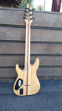 Schecter C-7 Elite (7 String)
