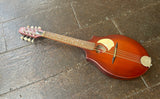 Seagull S8 Mandolin Burnt Umber