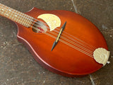 Seagull S8 Mandolin Burnt Umber