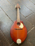 Seagull S8 Mandolin Burnt Umber
