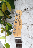 Squier Telecaster Thinline