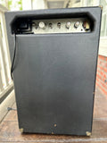 St. George Tube Amp 2x12