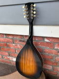 Stella Mandolin