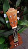 Sunlite Ukulele Concert UC 130E