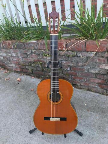 Takamine Classical C132s
