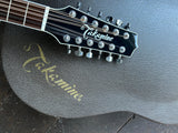 Takamine EF381SC 12-String