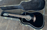 Takamine EF381SC 12-String