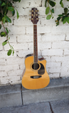 Takamine EG334