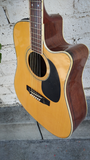 Takamine EG334