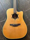 Takamine EN-10C