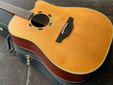 Takamine EN-10C