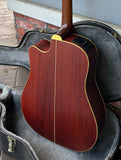 Takamine EN-10C