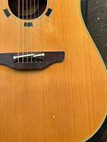 Takamine EN-10C