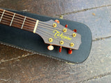 Takamine EN-10C