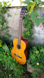 Takamine G126