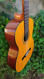 Takamine G126