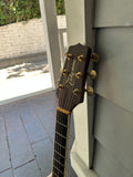 Takamine G334