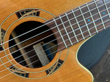 Takamine Santa Fe PSF-65C