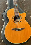 Takamine Santa Fe PSF-65C