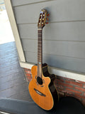 Takamine Santa Fe PSF-65C