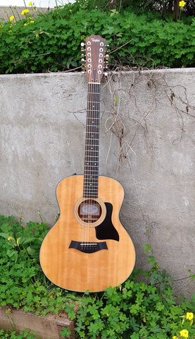 Taylor 356e 12 String