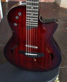 Taylor Electric