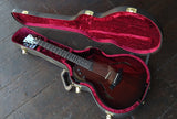Taylor Electric