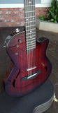 Taylor Electric