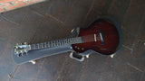 Taylor Electric