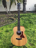 Taylor GS Mini