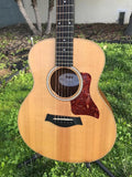 Taylor GS Mini