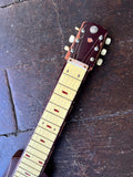 Teisco Model P Lap Steel