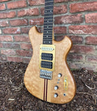 Troy Post Wolf Guitar