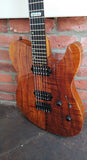 USA ESP TE II