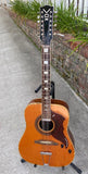 Vox 12 String Acoustic/Electric