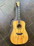 Washburn Acoustic D49SP