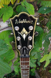 Washburn Electric WI66 Professional